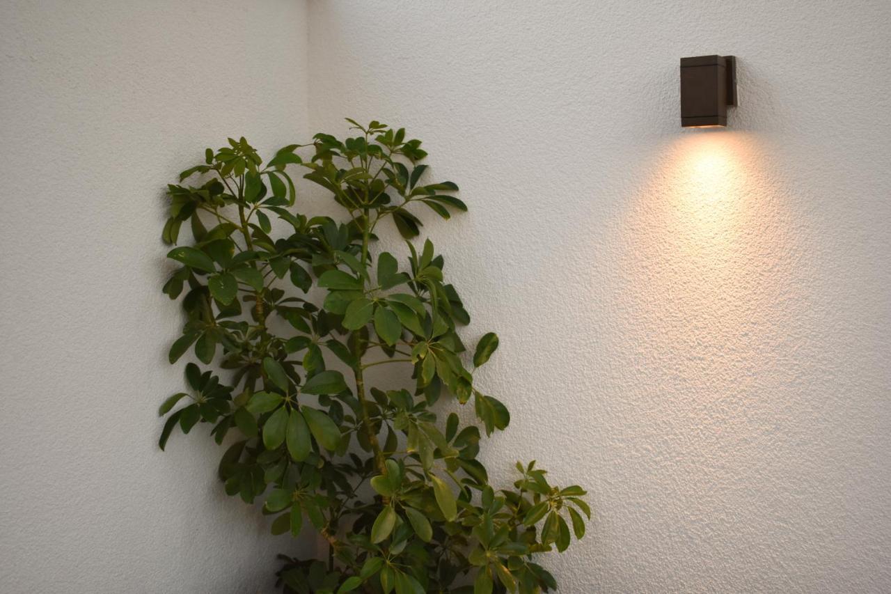 Apartmani Julija 沃迪切 外观 照片